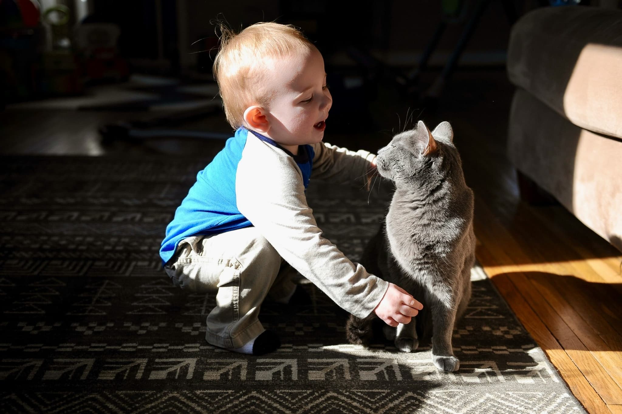 Holly Landkammer Animals