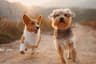 Dog Park Etiquette: 10 Unwritten Rules Every Owner Should Know