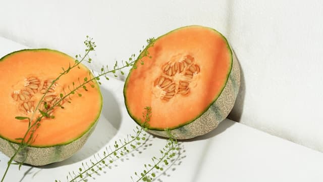 Can Chickens Eat Honeydew