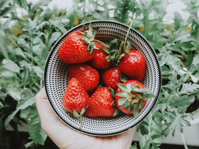 bowl of strawberry