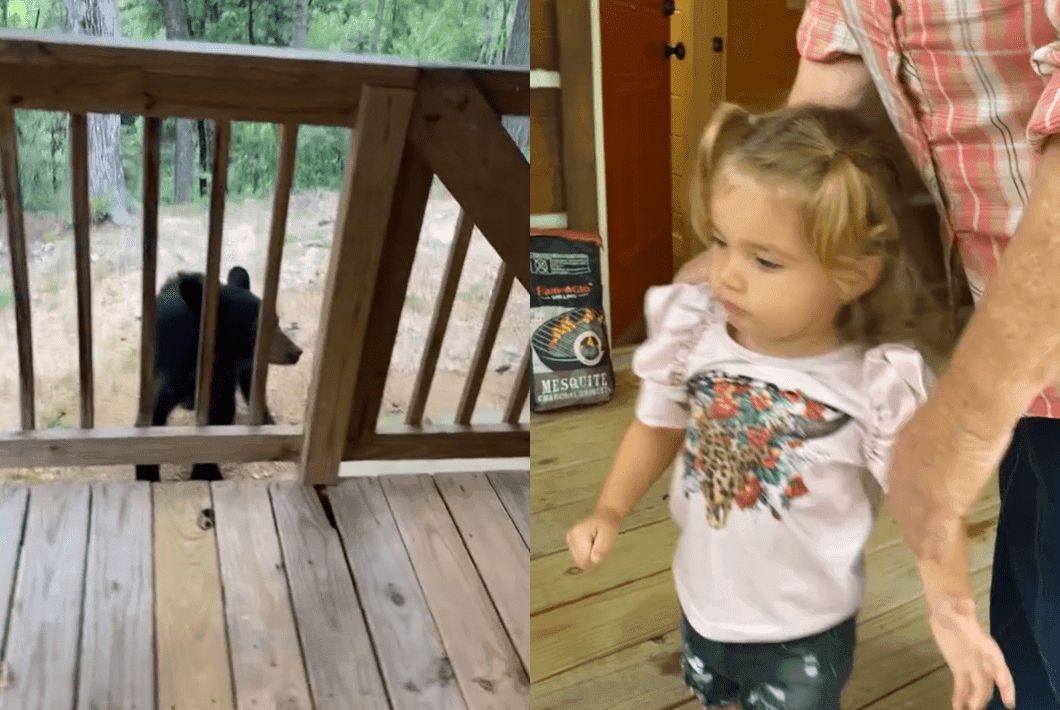 Can I pet that dog?