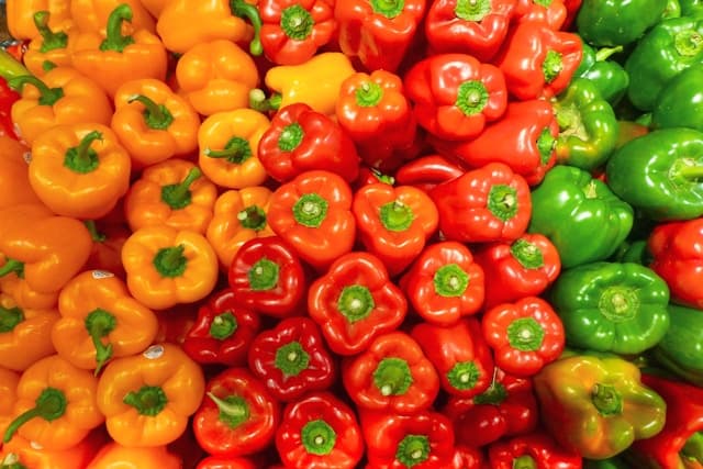 Can Rabbits Eat Bell Peppers? A Colorful Treat for Your Bunny