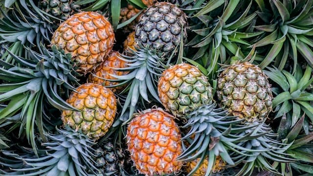 pineapples