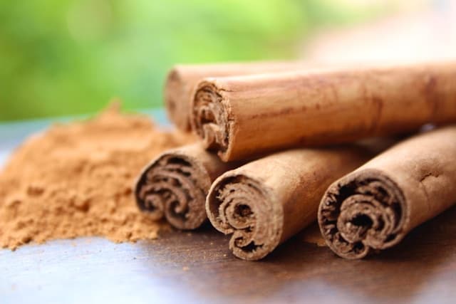 Can rabbits have cinnamon?