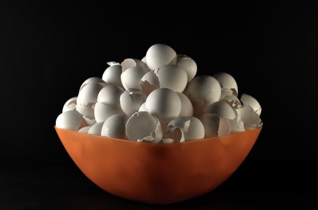 can dogs eat egg shells