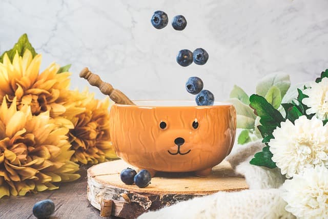 Bowl of blueberries