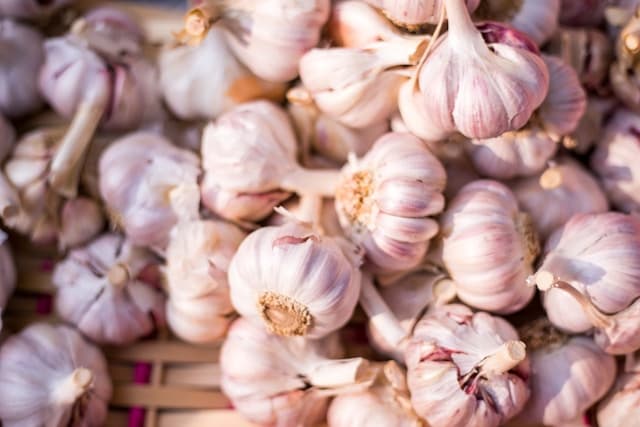 Bunch of garlic selling at the market