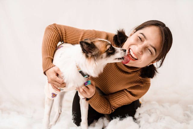 Dog showing affection to his owner by licking