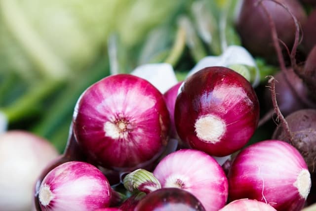 Fresh picked onions