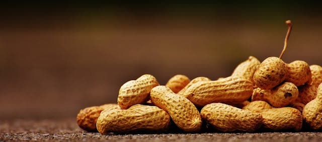 Shelled Peanuts