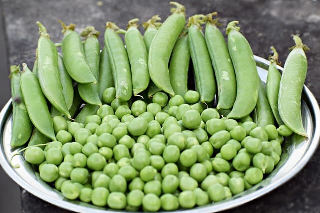 Vegetable green peas