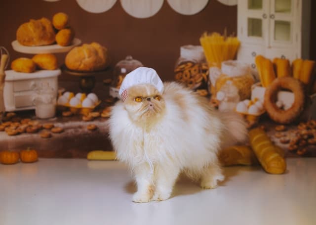 cat with pastry bread at the back