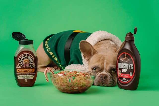 cute dog with candy and chocolate