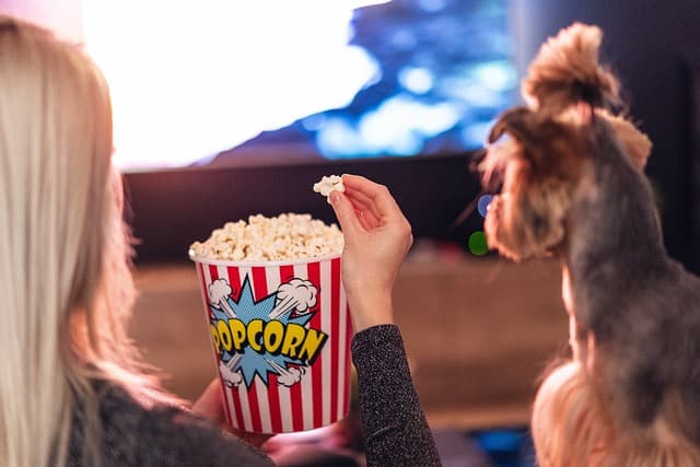 dog eating popcorn while watching