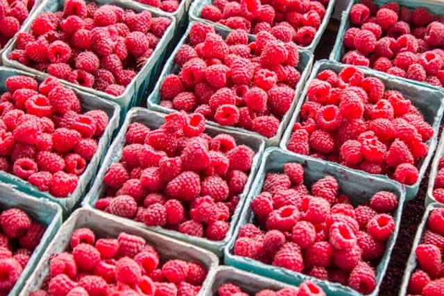 freshly picked raspberries
