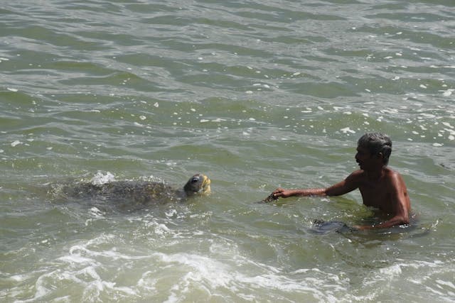 Man Swimming with Turtle