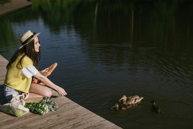 Woman give bread to the ducks at the lake