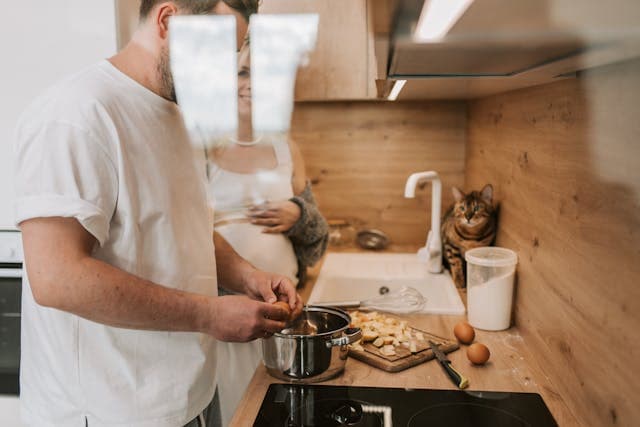 Cat looking at the boiled eggs