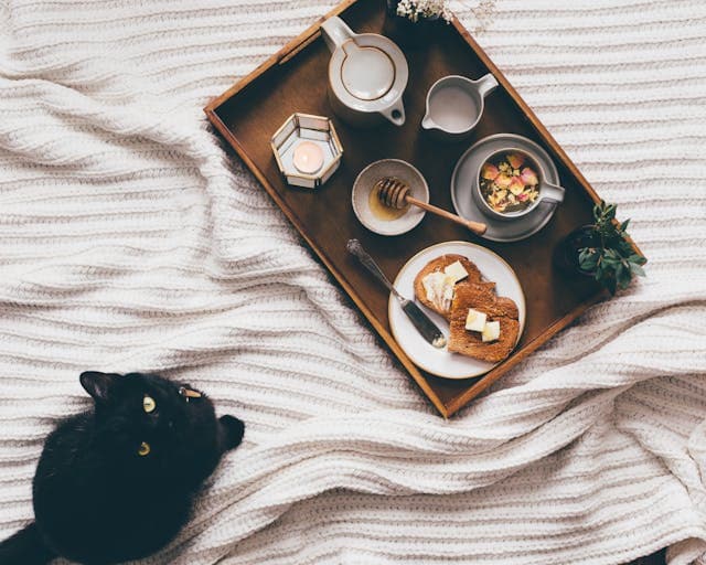 cat on bed with bread on tray