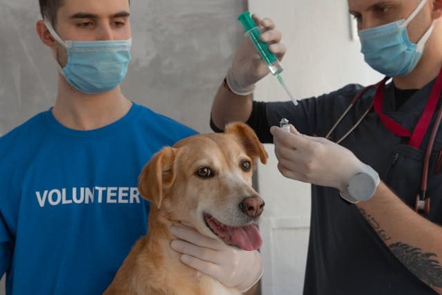 A Man Holding a Syringe with Medication