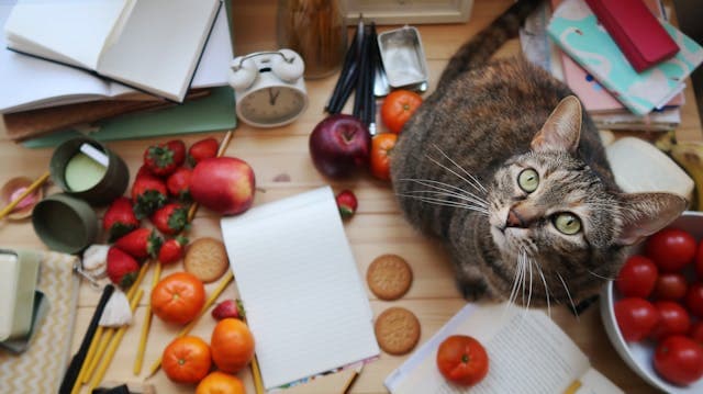 Brown Tabby Cat on a Wooden Table with some fruits