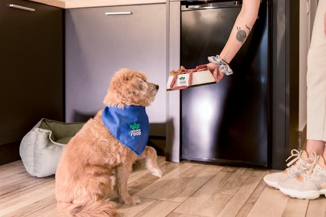 Owner Giving Foods