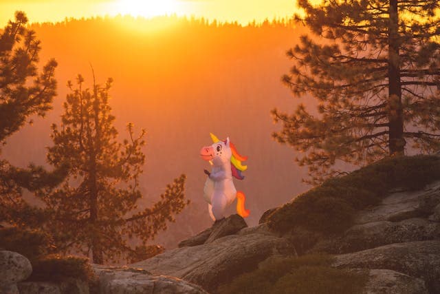 Sunset Sunlight over Unicorn in Forest