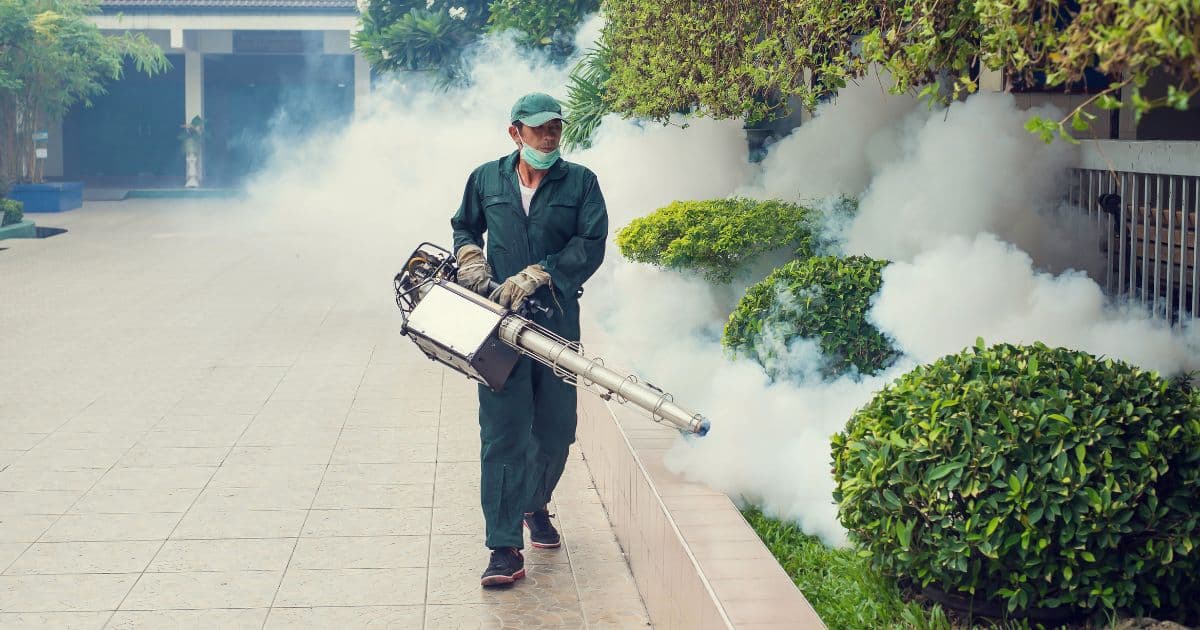 Pest Control