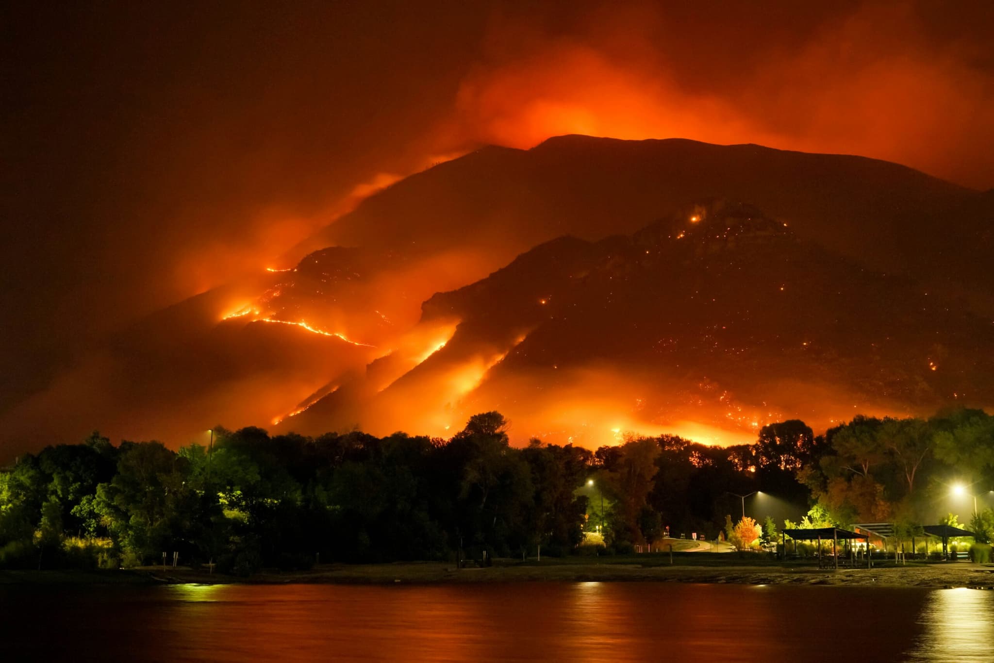 Forest Fire Picture