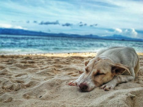 Photo by Ruel Madelo on Pexels