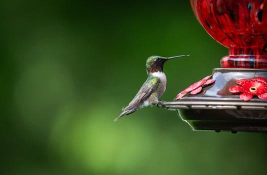 Photo by Chris F on Pexels