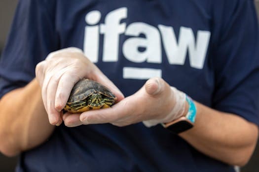 Photo by International Fund for Animal Welfare on Pexels