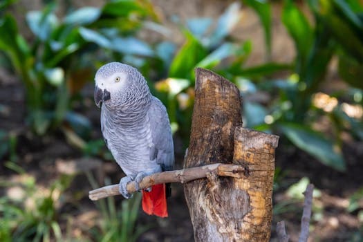 Photo by Magda Ehlers on Pexels