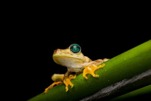 Photo by Alejandro Orozco on Pexels