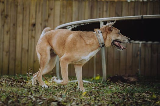 Photo by Connor McManus on Pexels