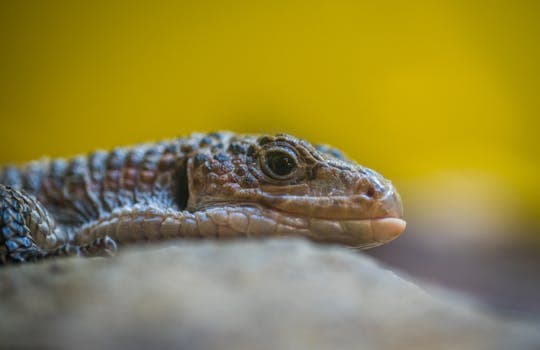 Photo by Egor Kamelev on Pexels