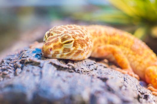 Photo by Jimmy Chan on Pexels