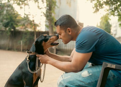 Photo by Harshal . on Pexels