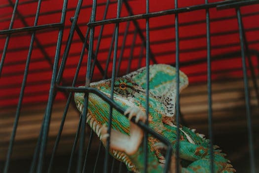 Photo by rakhmat suwandi on Pexels