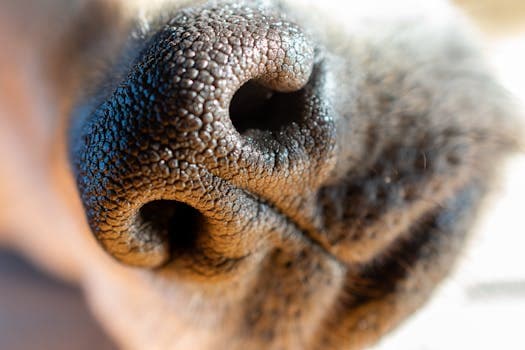 Photo by Beth Fitzpatrick on Pexels