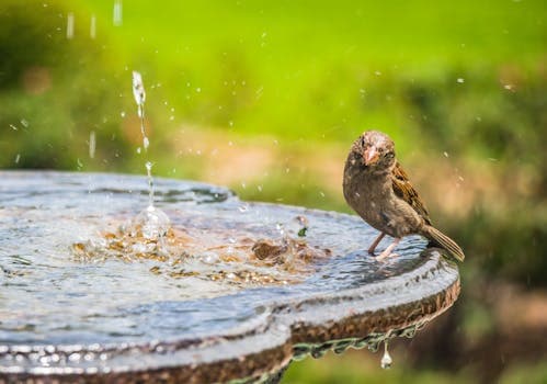 Photo by Jeswin Thomas on Pexels