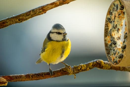 Photo by Gundula Vogel on Pexels