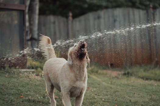 Photo by Tolga Ahmetler on Pexels