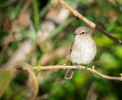 Photo by Jean van der Meulen on Pexels