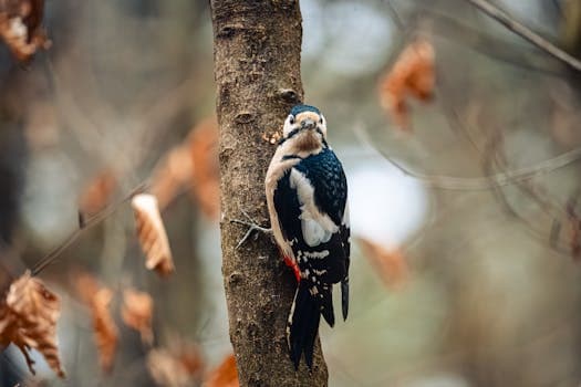 Photo by Matej Bizjak on Pexels