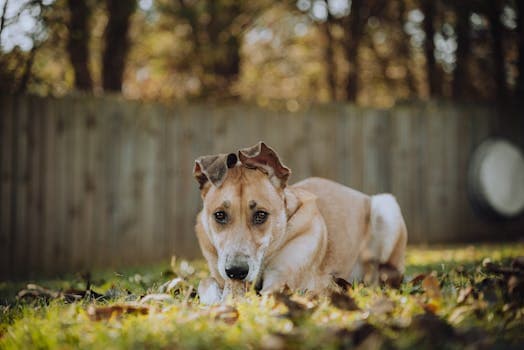 Photo by Connor McManus on Pexels
