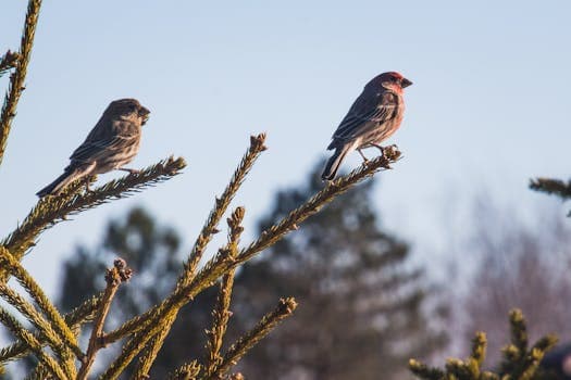 Photo by Dan Hamill on Pexels