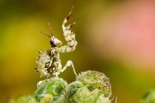 Photo by Yudi Ding on Pexels