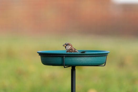 Photo by Jay Brand on Pexels