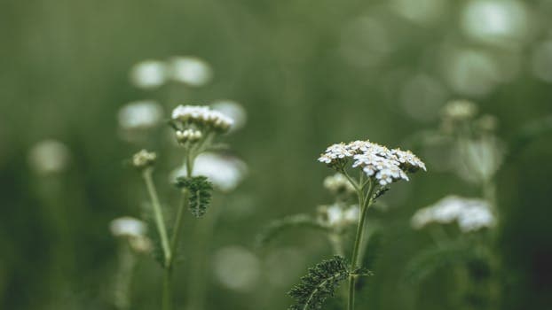 Photo by Artur Roman on Pexels